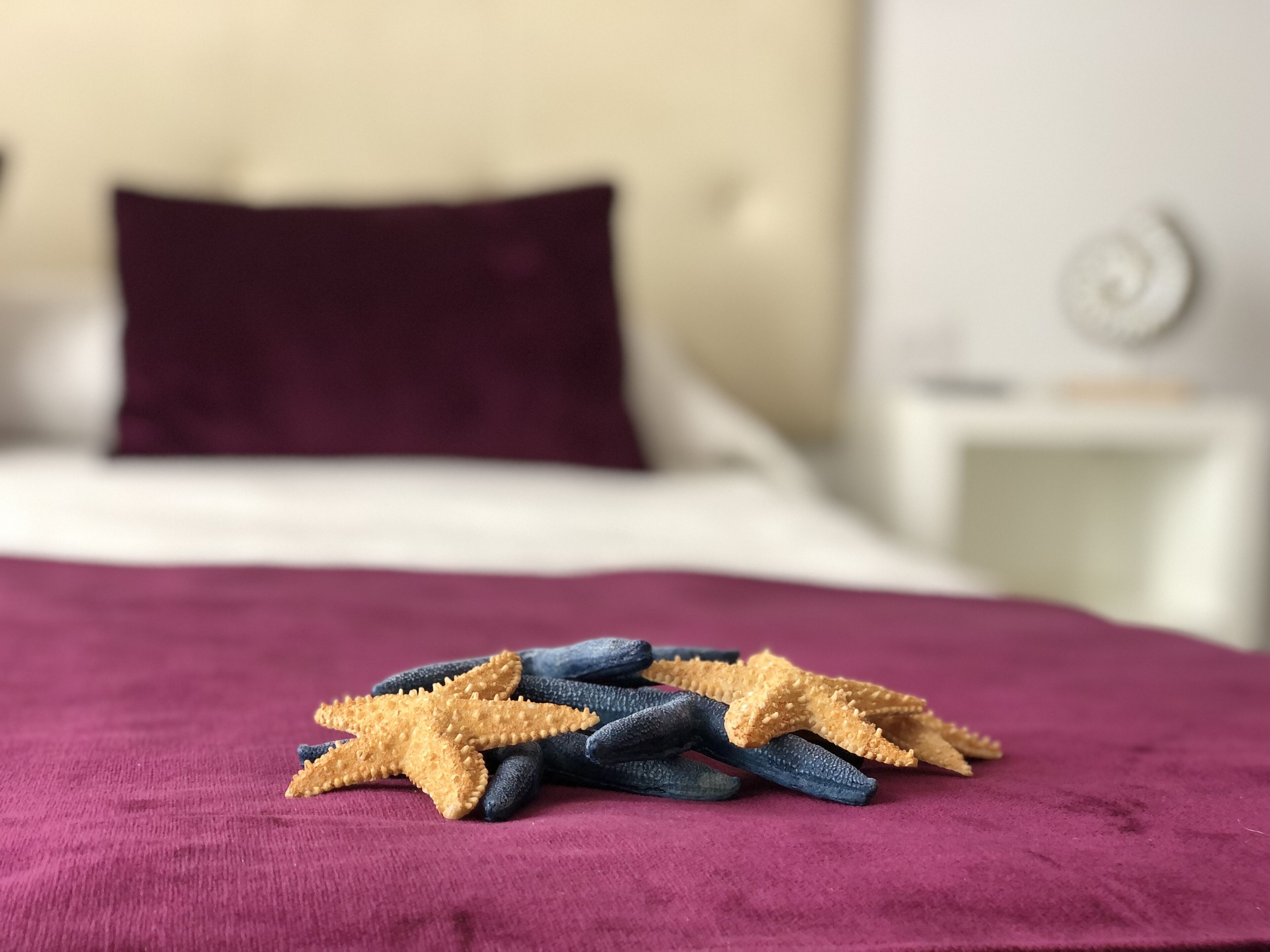 Foto - Hotel Océano Centro