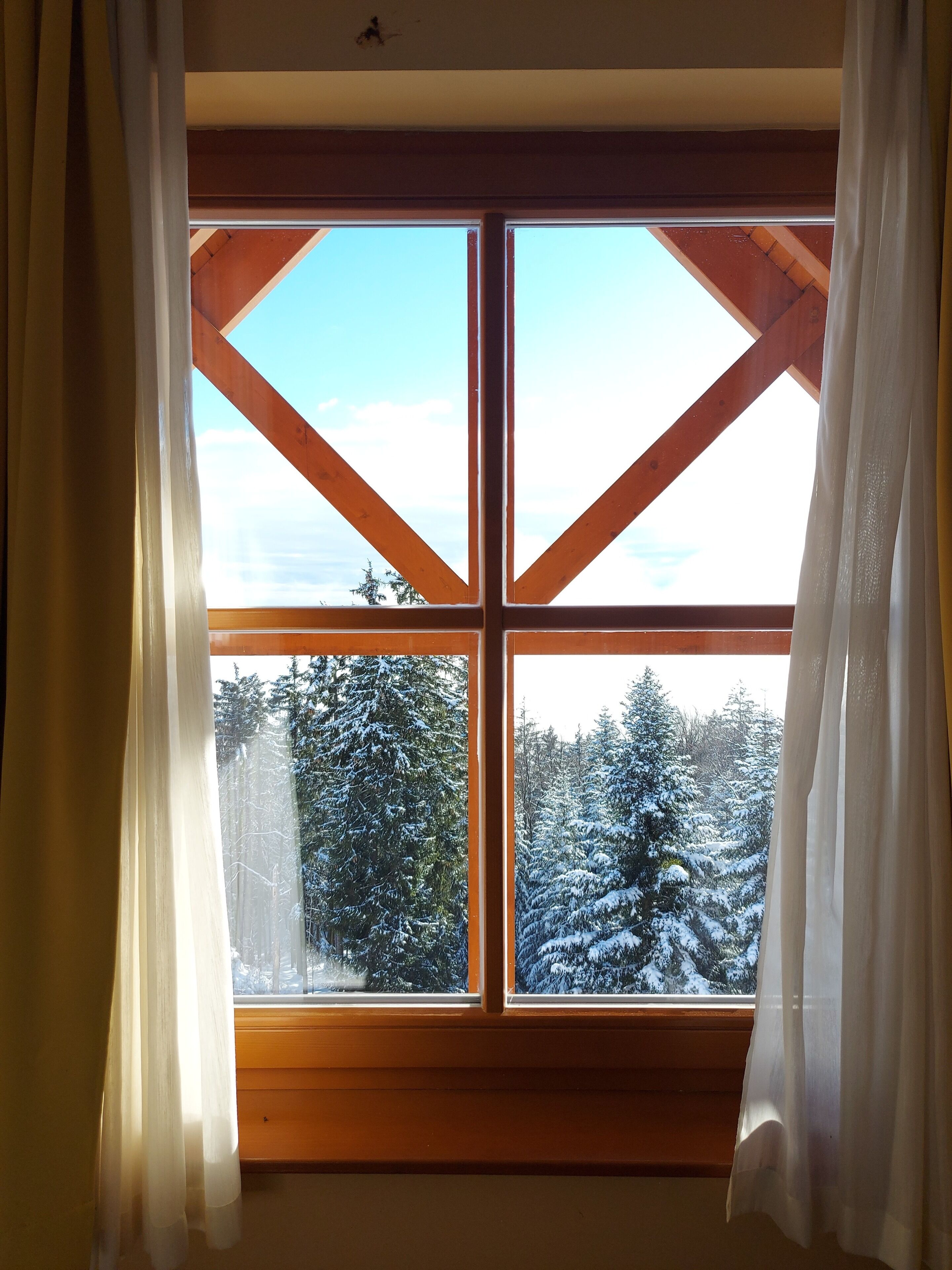 Standard Apartment (With External Access) | Mountain view