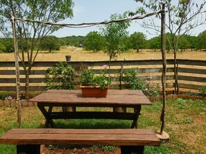 Situated in a serene grassy area, this outdoor space features a picnic table and a potted plant.