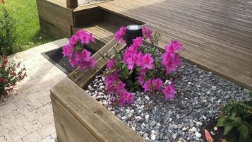 DĂ©tail de lâextĂ©rieur