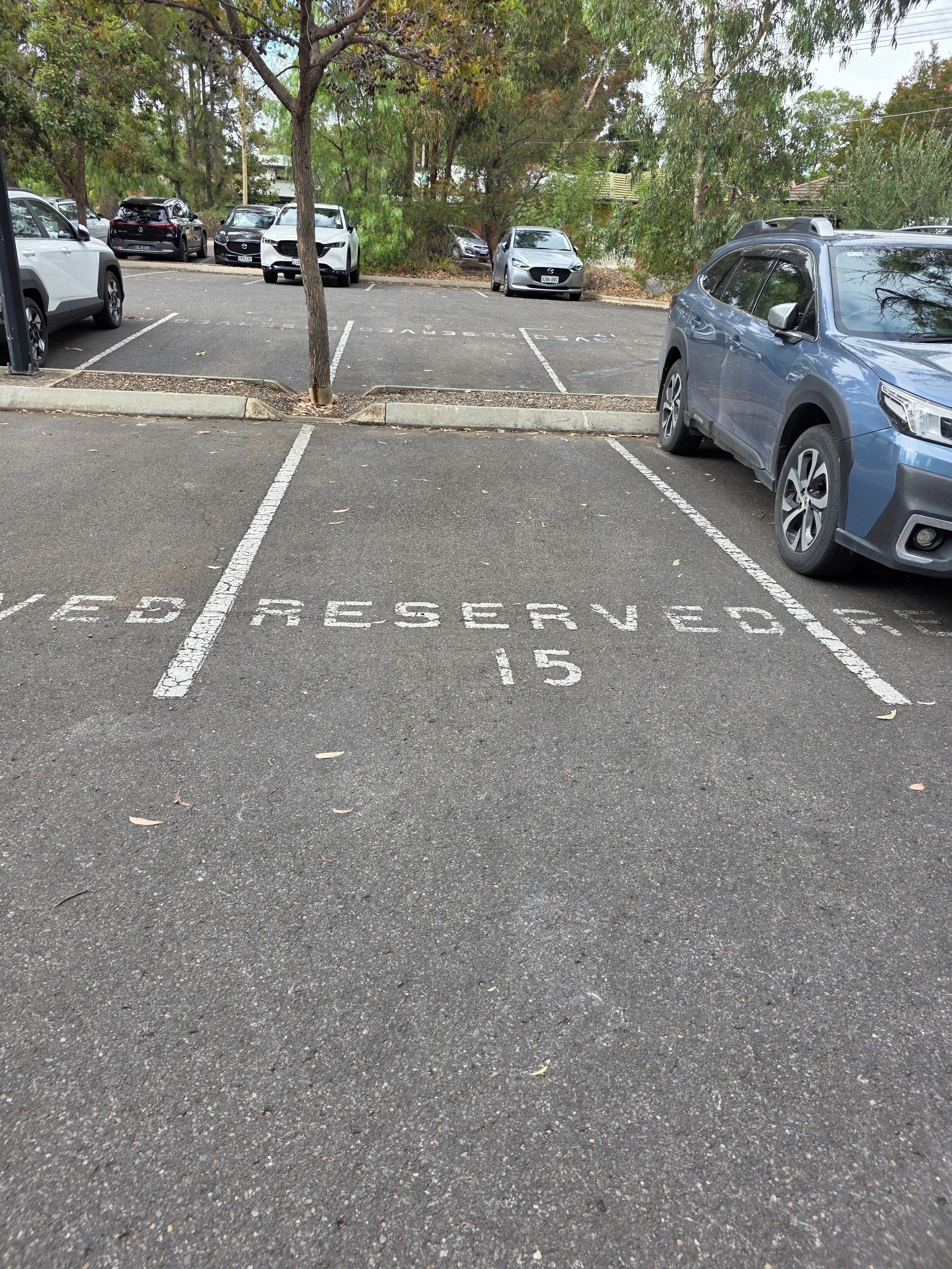 Ein Parkplatz mit eingezeichneten Stellplätzen, darunter ein reserviertes Feld.