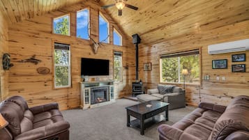 Smart TV, DVD player, video library