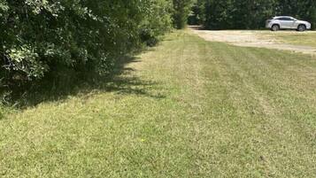 Terrain de l’hébergement