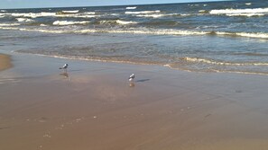 Perto da praia 