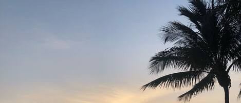 Playa en los alrededores, camastros y toallas de playa