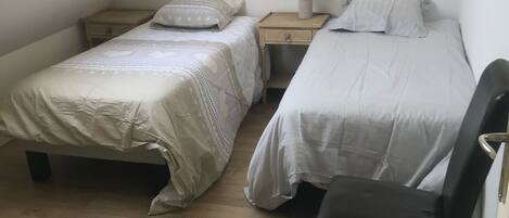 A small, well-lit room with two beds, a nightstand, a chair, and a skylight.
