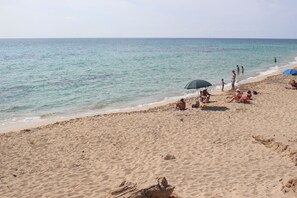 Playa en los alrededores 