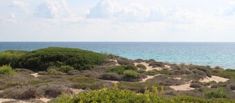 Masseria Nova (l'Antica Masseria) - La Masseria