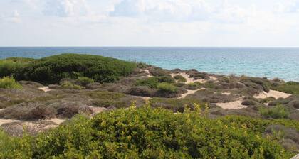 Masseria Nova (l'Antica Masseria) - La Masseria