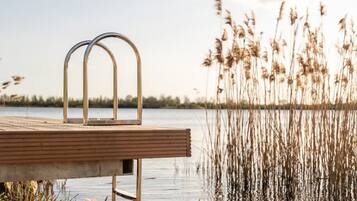 Une jetée en bois, dotée de garde-corps métalliques qui s’étendent au-dessus de l’eau, et entourée de hautes jonchaies.