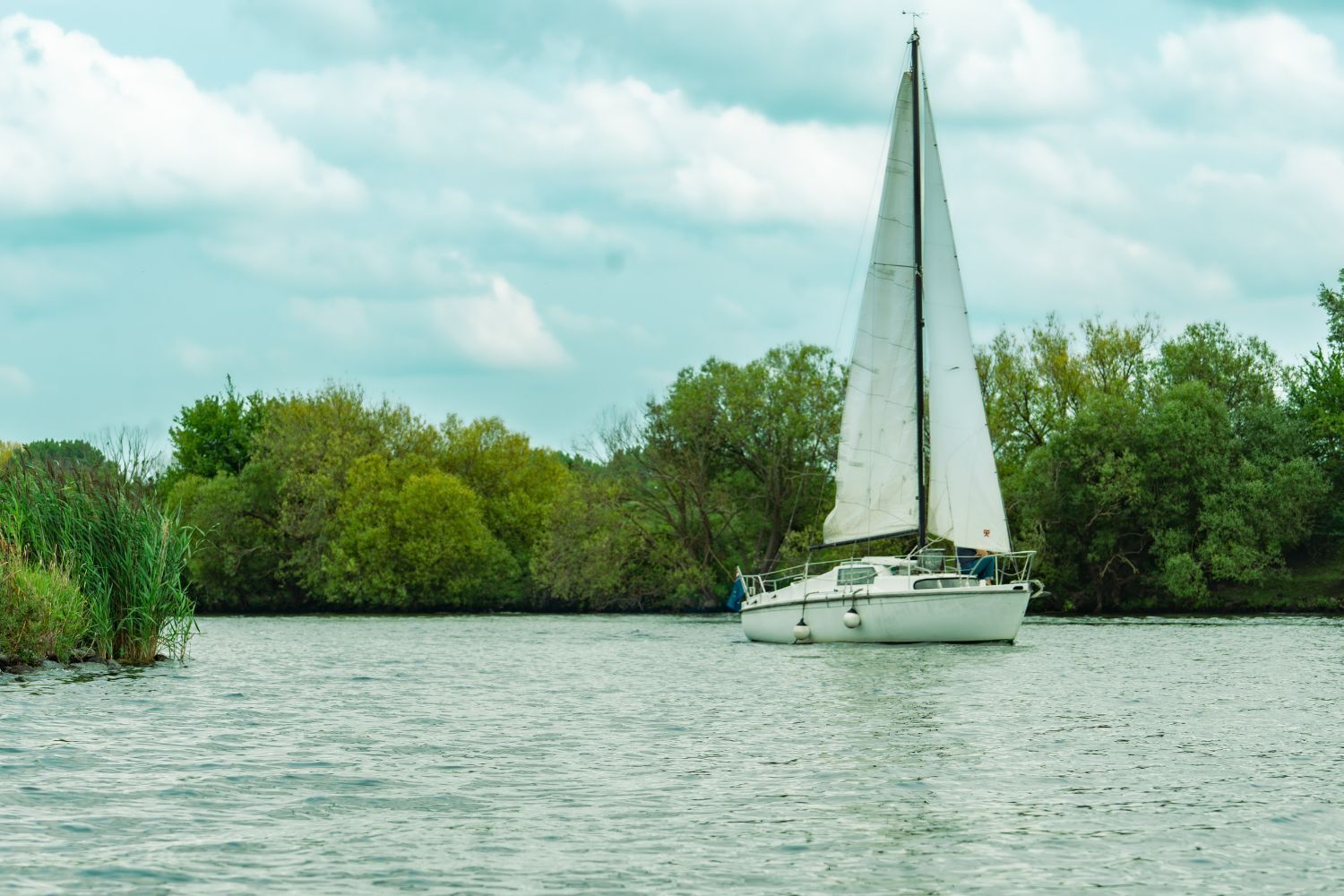 Un voilier sur une étendue d’eau calme, avec une c ôte boisée en arrière-plan.