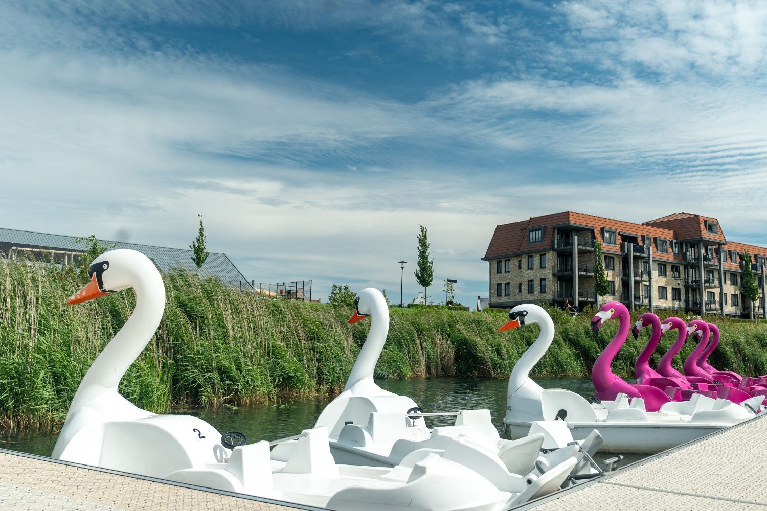 Una hilera de barcas con forma de cisne a lo largo de un canal, con un edificio al fondo.