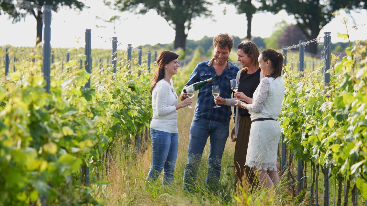 A group of people standing in a vineyard with rows of grapevines and a fence in the background.
