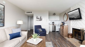 电视、壁炉、办公室