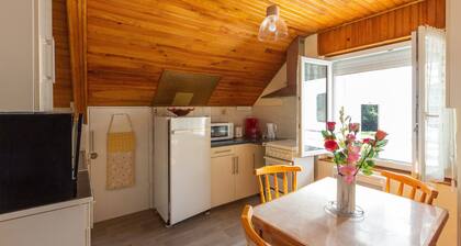 Le Haut Mont-Dore - Apt 4 voyageurs