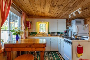 Fridge, microwave, oven, stovetop - Charming Camp on Water's Edge---Canoe, Loons, Turkeys, Fish and an Eagle (Belmont)