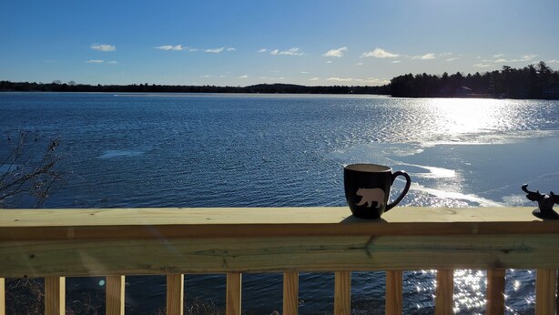 Et træterrasse med udsigt over en rolig sø, en klar himmel og en bjørnesilhuet på gelænderet.