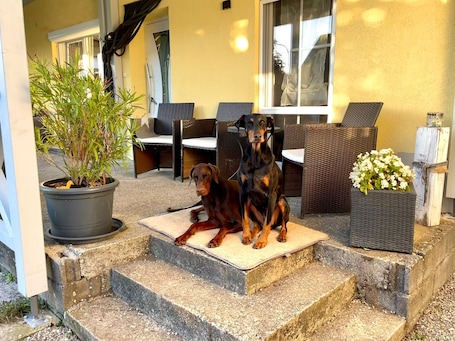 Ferienwohnung Toja