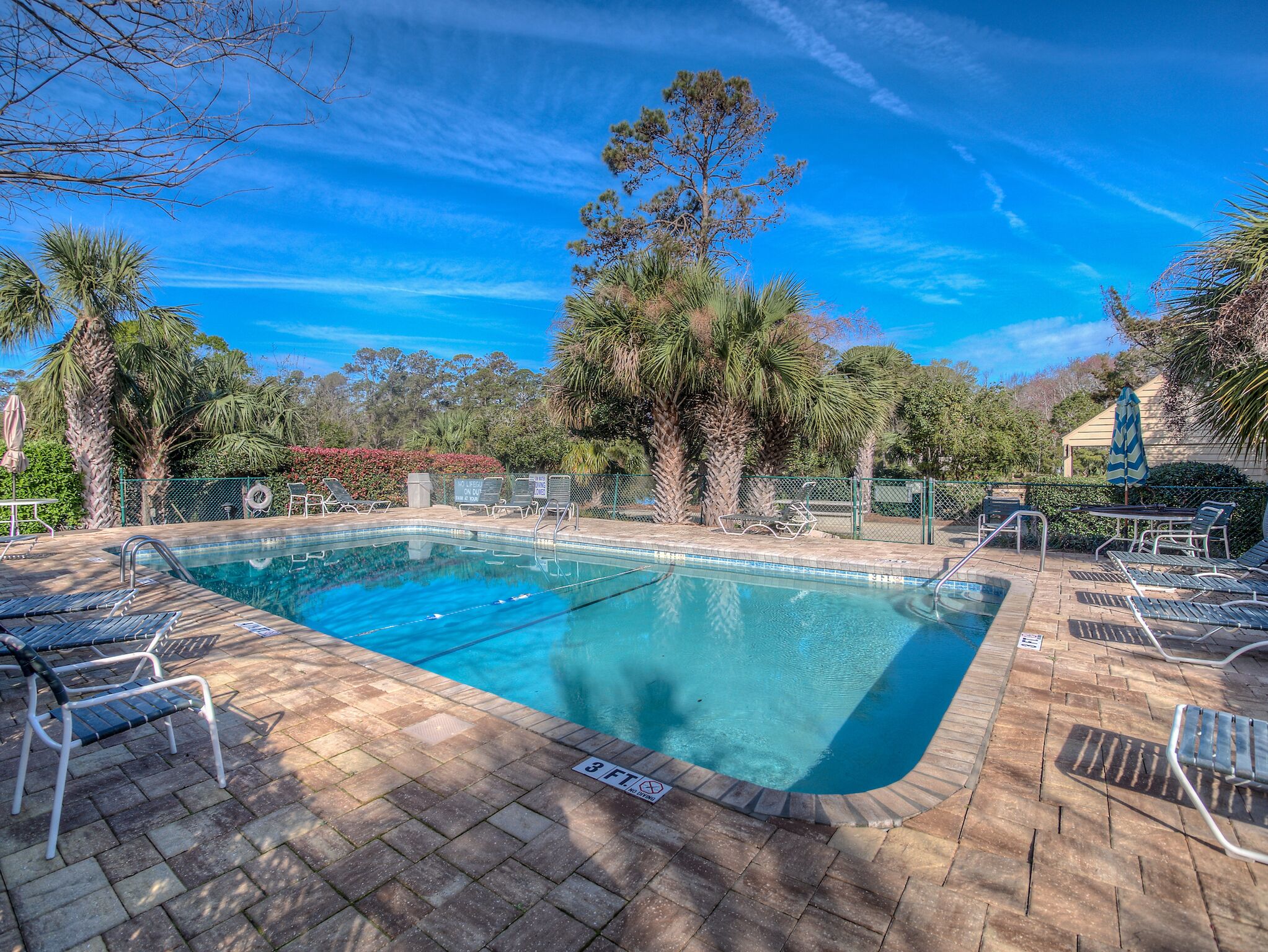 A rectangular pool with clear blue water, surrounded by lounge chairs and palm trees.