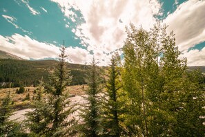 Superior Condo, 2 Bedrooms, Balcony, Mountain View (Springs 8876) | View from room - Springs 8876 (Keystone)