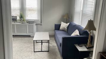 Smart TV, fireplace, books