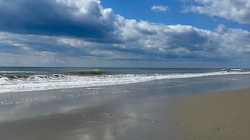 Beach nearby, sun loungers, beach towels