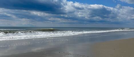 Plage à proximité, chaises longues, serviettes de plage