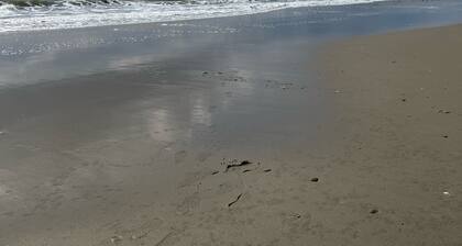 Renovated 2nd flr Condo 3 blocks from Ventnor beach, right off of Ventnor ave!