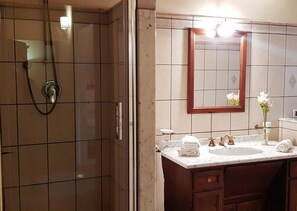 Shower, hair dryer, bidet, towels