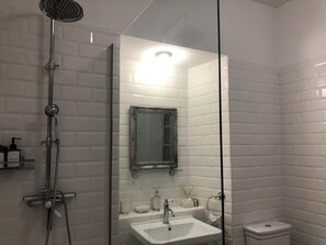 A bathroom with a glass shower enclosure, a white sink, a mirror, and a toilet.