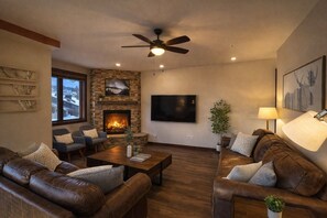 TV connectée, cheminée, lecteur de DVD