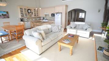 TV connectée, cheminée, lecteur de DVD, vidéothèque