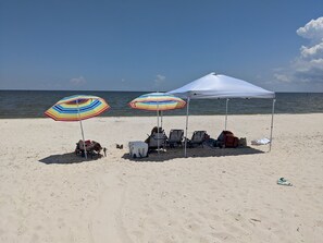 ビーチの近く、サンラウンジャー、ビーチタオル