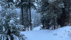 A snow-covered picnic table in a forest.