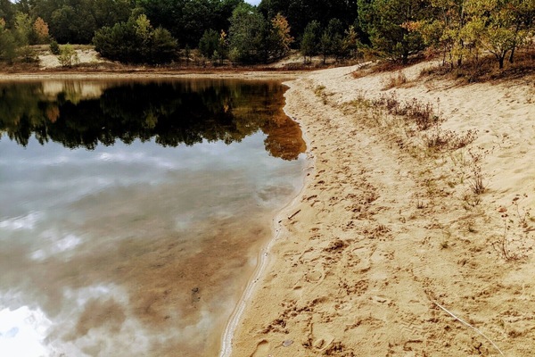 Tovalloles de platja
