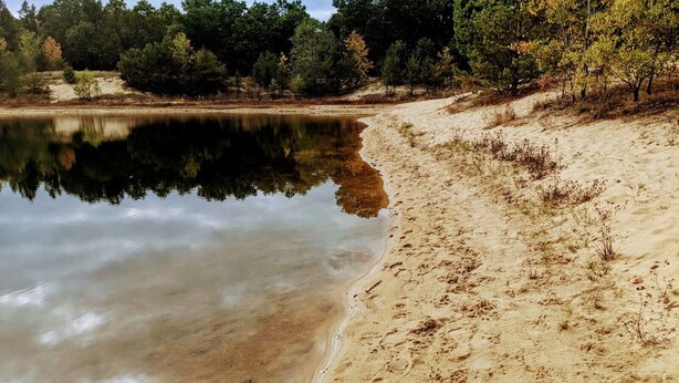 A sandy beach with a calm lake, surrounded by trees.