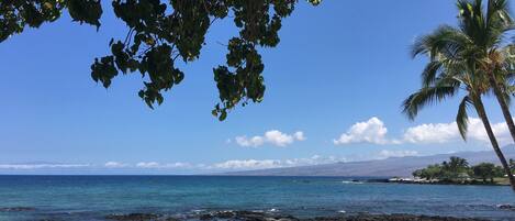Beach nearby, sun-loungers, beach towels