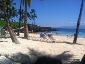 Plage à proximité, chaises longues, serviettes de plage