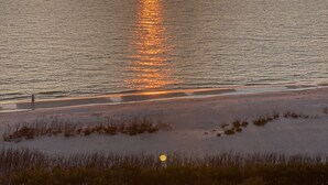 A beach with a sunset over the ocean, a person standing on the sand, and vegetation in the foreground. - One Bedroom Direct Gulf Front View (FORT MYERS)