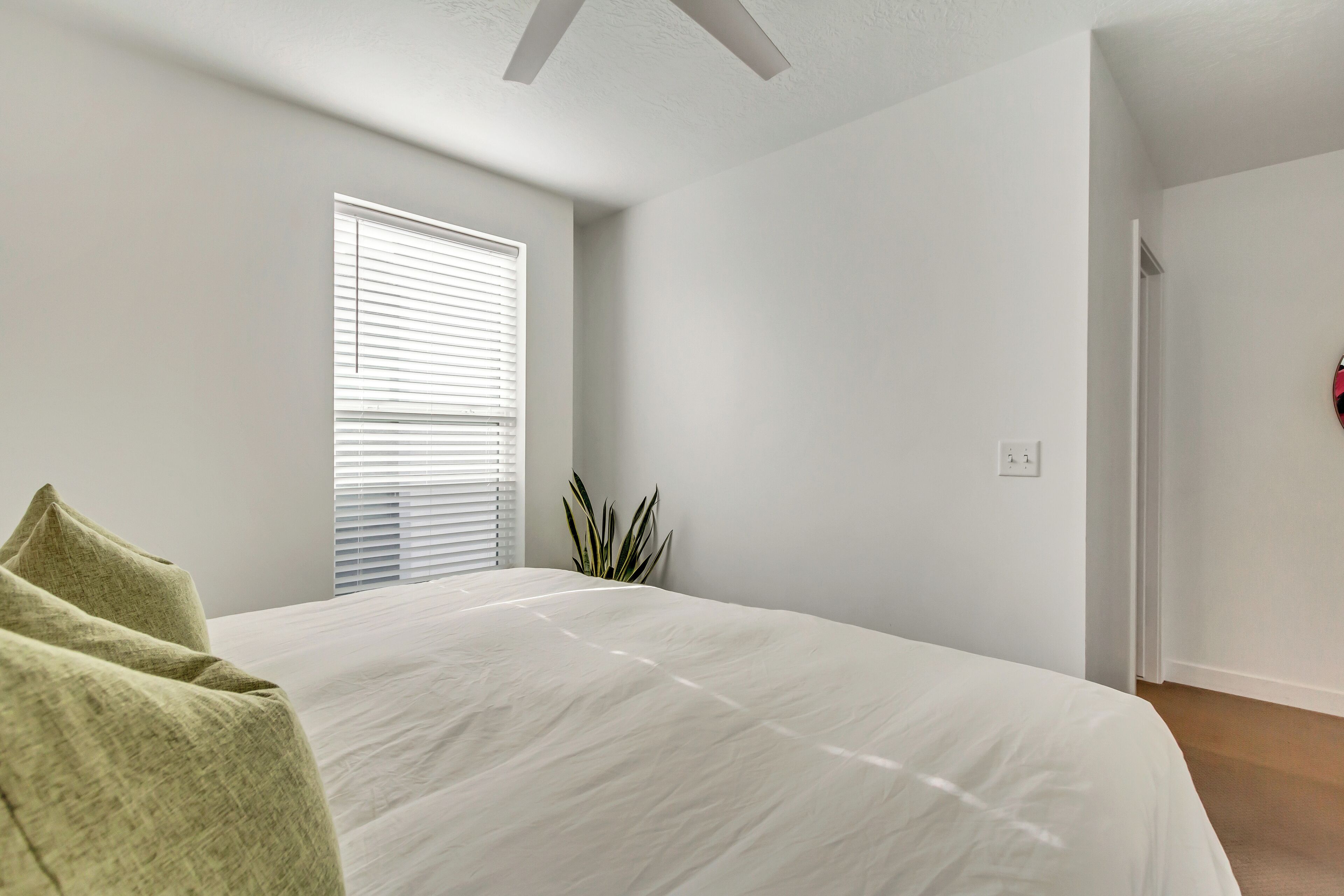 A bedroom with a large bed, a window with blinds, a potted plant, and a door.
