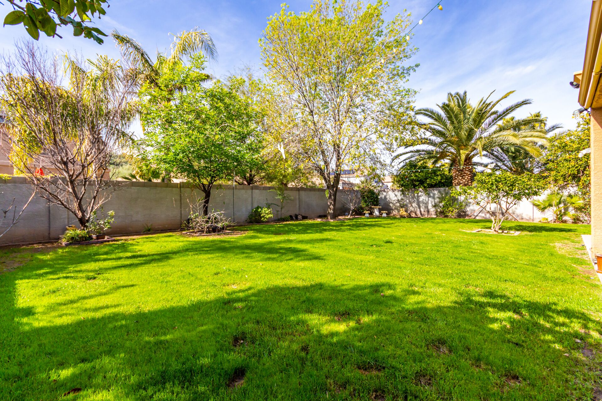 Luxury modern retreat with tropical backyard-at a great Location-EZ FWY access