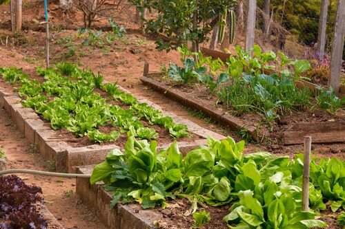 Rancho Diamond - Camanducainha - 42 km to Monte Verde - Pets allowed