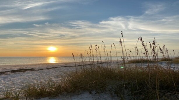 A beach scene with the sun setting over the ocean, grasses in the foreground, and a clear sky. - Marsh Beauty (Alligator Point)
