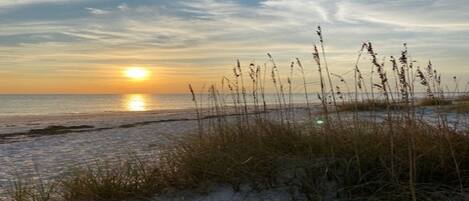 Plage à proximité, chaises longues, serviettes de plage