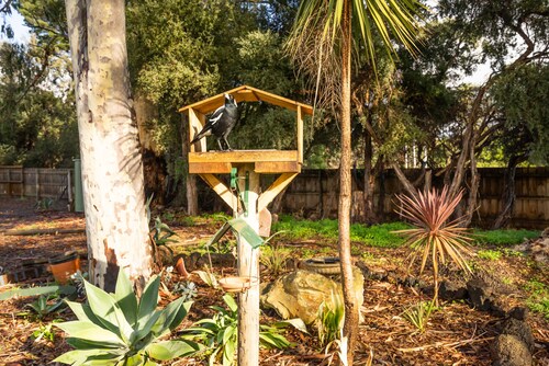 Golfside Getaway by Ready Set Stay - Neat bungalow,WIFI,linen & towels included