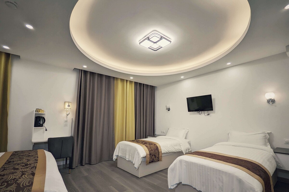 Une chambre d’hôtel avec deux lits, un bureau, une télévision et un luminaire au plafond.