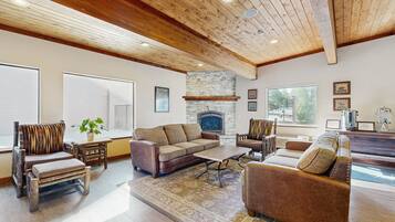 TV, fireplace, books