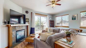 TV, fireplace, books