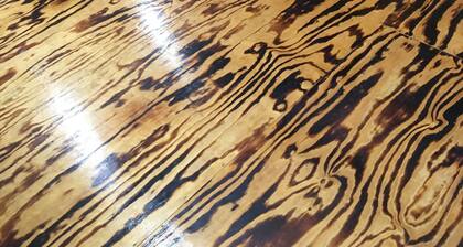 South Arkansas Cabins your home away from home. ( the cabin)