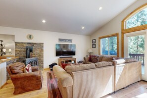 TV, fireplace, books